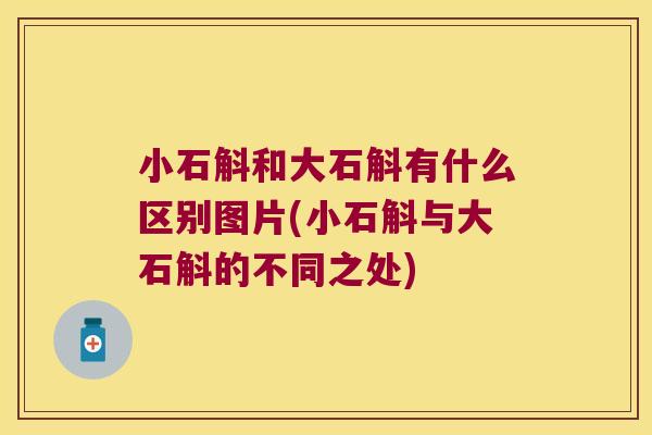 小石斛和大石斛有什么区别图片(小石斛与大石斛的不同之处)