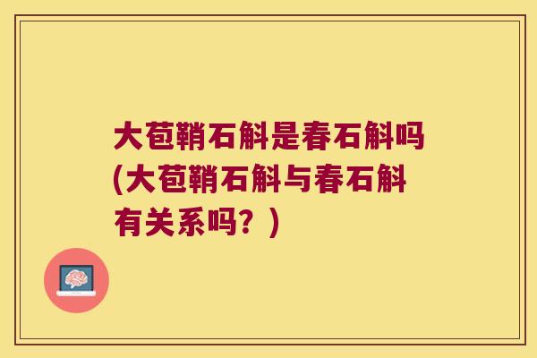 大苞鞘石斛是春石斛吗(大苞鞘石斛与春石斛有关系吗？)