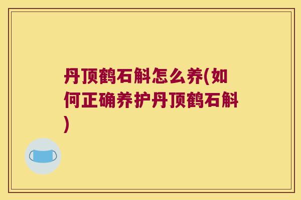 丹顶鹤石斛怎么养(如何正确养护丹顶鹤石斛)