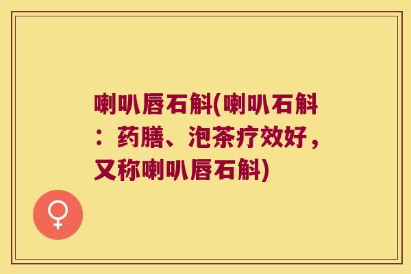 喇叭唇石斛(喇叭石斛：药膳、泡茶疗效好，又称喇叭唇石斛)