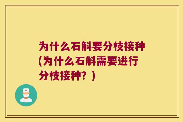 为什么石斛要分枝接种(为什么石斛需要进行分枝接种？)