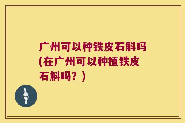 广州可以种铁皮石斛吗(在广州可以种植铁皮石斛吗？)