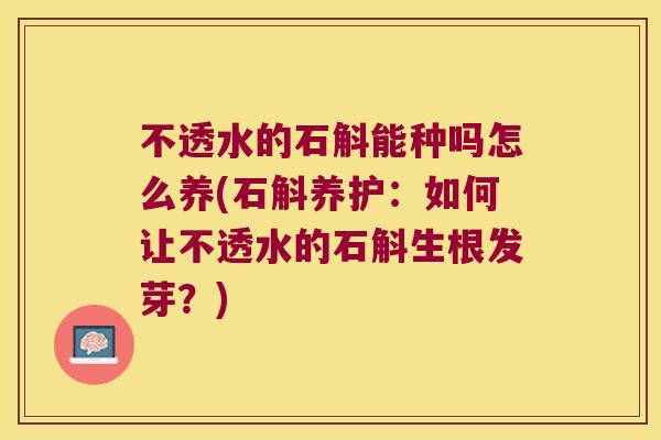 不透水的石斛能种吗怎么养(石斛养护：如何让不透水的石斛生根发芽？)