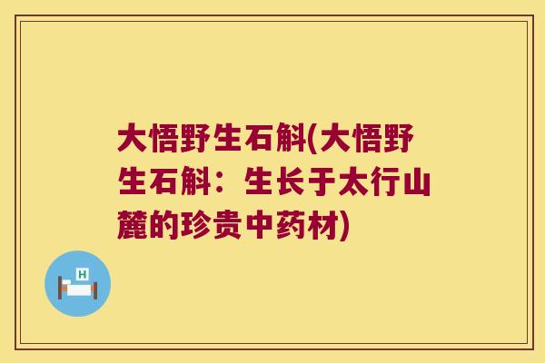 大悟野生石斛(大悟野生石斛:生长于太行山麓的珍贵材) 大悟野生石斛(大悟野生石斛:生长于太行山麓的珍贵材)