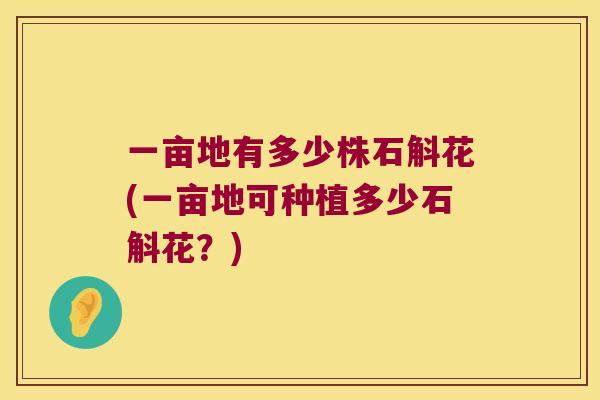 一亩地有多少株石斛花(一亩地可种植多少石斛花？)