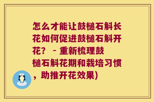 怎么才能让鼓槌石斛长花如何促进鼓槌石斛开花？ - 重新梳理鼓槌石斛花期和栽培习惯，助推开花效果)