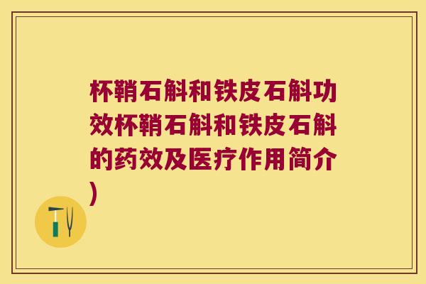 杯鞘石斛和铁皮石斛功效杯鞘石斛和铁皮石斛的药效及医疗作用简介)