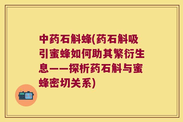 中药石斛蜂(药石斛吸引蜜蜂如何助其繁衍生息——探析药石斛与蜜蜂密切关系)