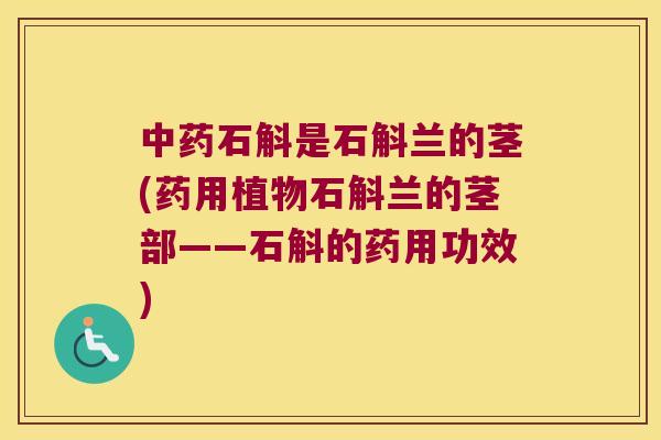 中药石斛是石斛兰的茎(药用植物石斛兰的茎部——石斛的药用功效)