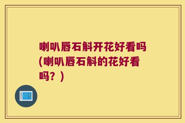 喇叭唇石斛开花好看吗(喇叭唇石斛的花好看吗？)
