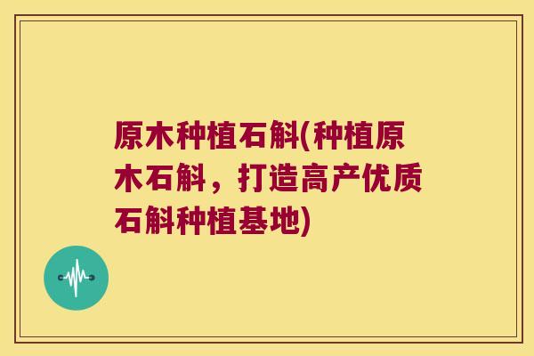 原木种植石斛(种植原木石斛，打造高产优质石斛种植基地)