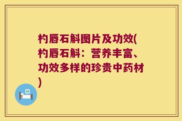 杓唇石斛图片及功效(杓唇石斛：营养丰富、功效多样的珍贵中药材)