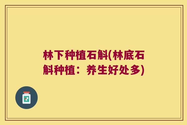 林下种植石斛(林底石斛种植：养生好处多)