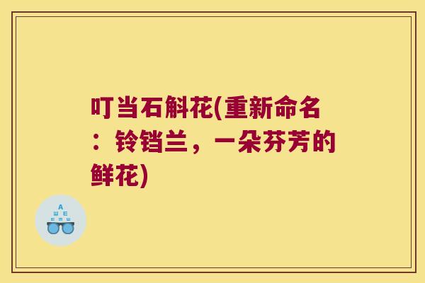 叮当石斛花(重新命名：铃铛兰，一朵芬芳的鲜花)