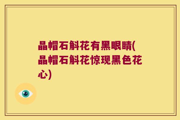 晶帽石斛花有黑眼睛(晶帽石斛花惊现黑色花心)