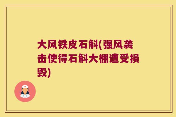 大风铁皮石斛(强风袭击使得石斛大棚遭受损毁)