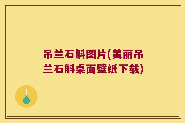 吊兰石斛图片(美丽吊兰石斛桌面壁纸下载)