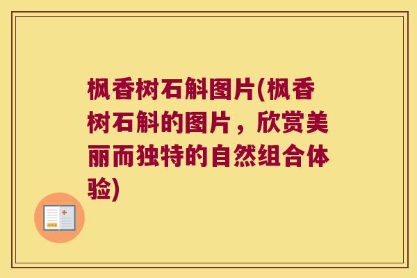 枫香树石斛图片(枫香树石斛的图片，欣赏美丽而独特的自然组合体验)