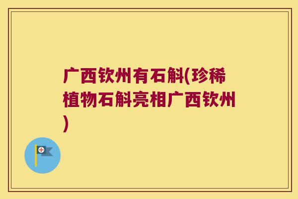 广西钦州有石斛(珍稀植物石斛亮相广西钦州)