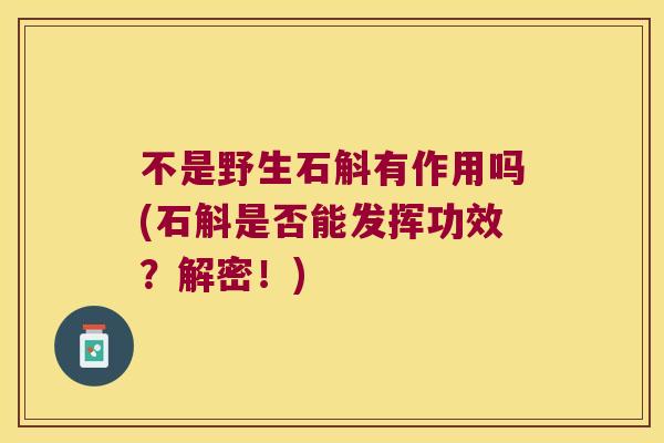 不是野生石斛有作用吗(石斛是否能发挥功效？解密！)