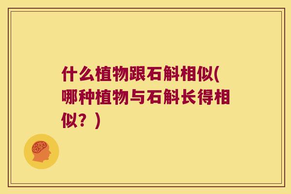 什么植物跟石斛相似(哪种植物与石斛长得相似？)