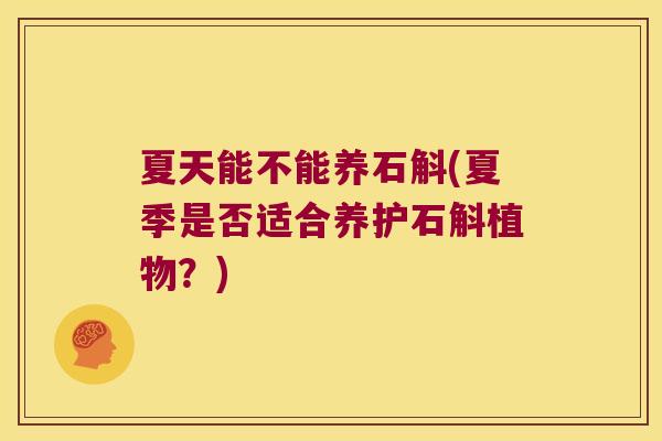夏天能不能养石斛(夏季是否适合养护石斛植物？)