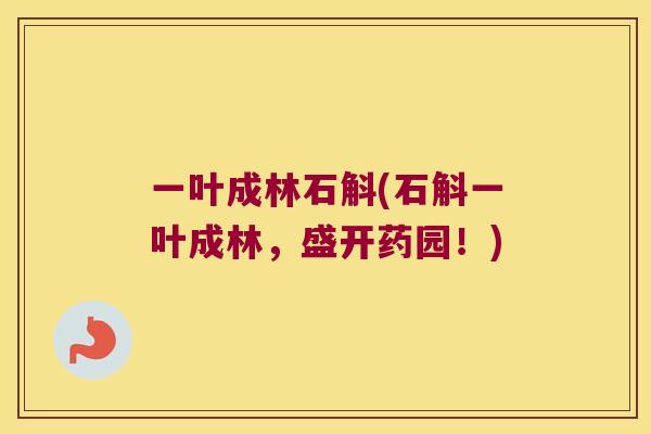 一叶成林石斛(石斛一叶成林，盛开药园！)