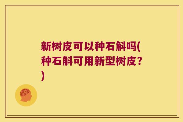 新树皮可以种石斛吗(种石斛可用新型树皮？)