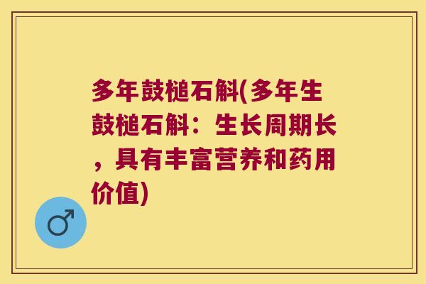 多年鼓槌石斛(多年生鼓槌石斛：生长周期长，具有丰富营养和药用价值)