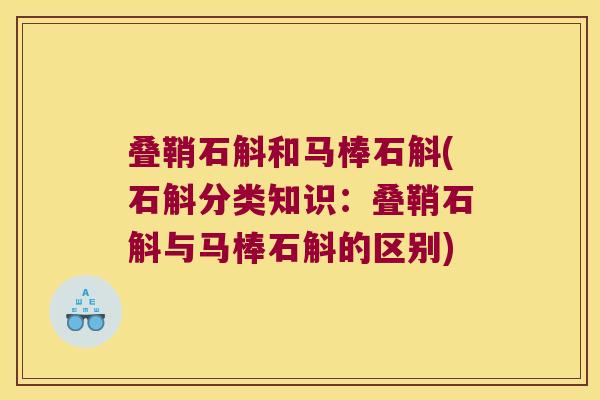 叠鞘石斛和马棒石斛(石斛分类知识：叠鞘石斛与马棒石斛的区别)