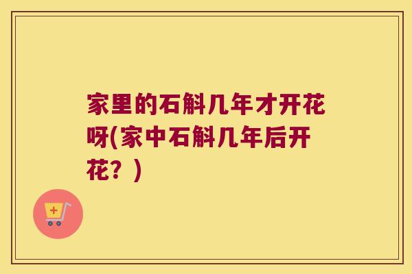 家里的石斛几年才开花呀(家中石斛几年后开花？)