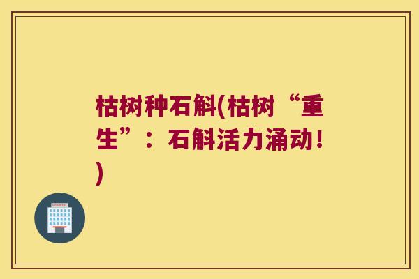 枯树种石斛(枯树“重生”：石斛活力涌动！)