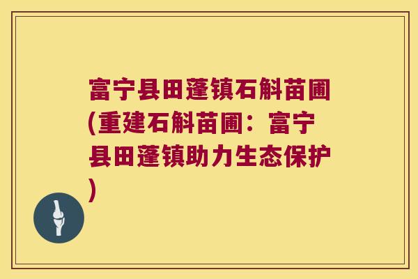 富宁县田蓬镇石斛苗圃(重建石斛苗圃：富宁县田蓬镇助力生态保护)