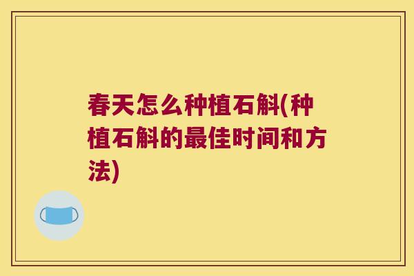 春天怎么种植石斛(种植石斛的佳时间和方法)