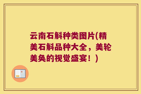云南石斛种类图片(精美石斛品种大全，美轮美奂的视觉盛宴！)