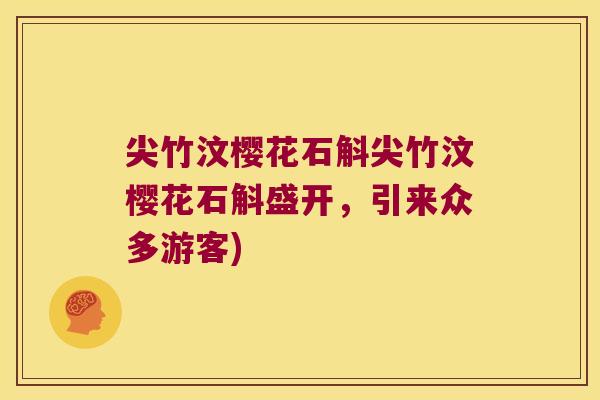 尖竹汶樱花石斛尖竹汶樱花石斛盛开，引来众多游客)