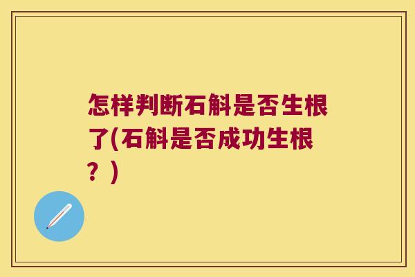 怎样判断石斛是否生根了(石斛是否成功生根？)
