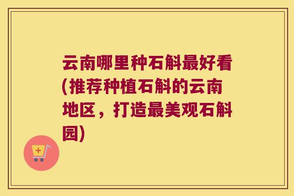 云南哪里种石斛最好看(推荐种植石斛的云南地区，打造最美观石斛园)