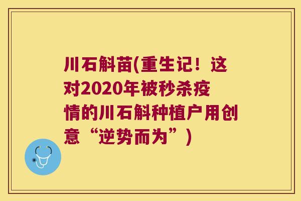 川石斛苗(重生记！这对2020年被秒杀疫情的川石斛种植户用创意“逆势而为”)