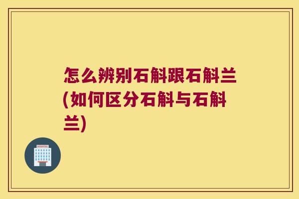 怎么辨别石斛跟石斛兰(如何区分石斛与石斛兰)