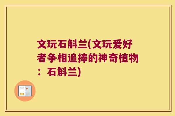 文玩石斛兰(文玩爱好者争相追捧的神奇植物：石斛兰)