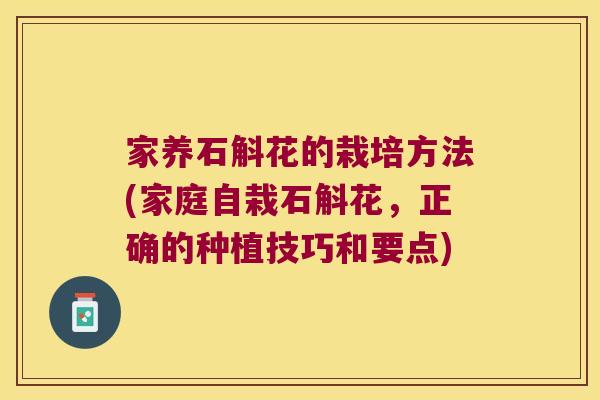 家养石斛花的栽培方法(家庭自栽石斛花，正确的种植技巧和要点)