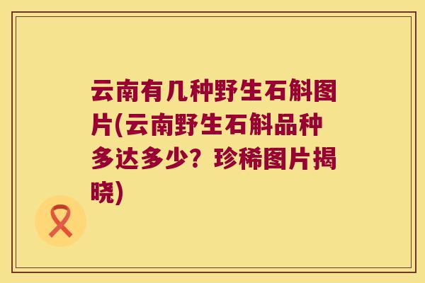 云南有几种野生石斛图片(云南野生石斛品种多达多少？珍稀图片揭晓)
