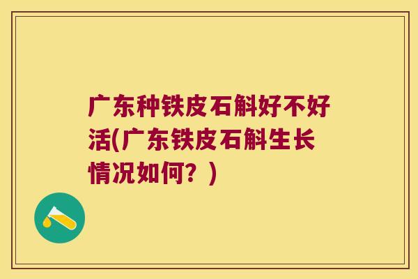 广东种铁皮石斛好不好活(广东铁皮石斛生长情况如何？)