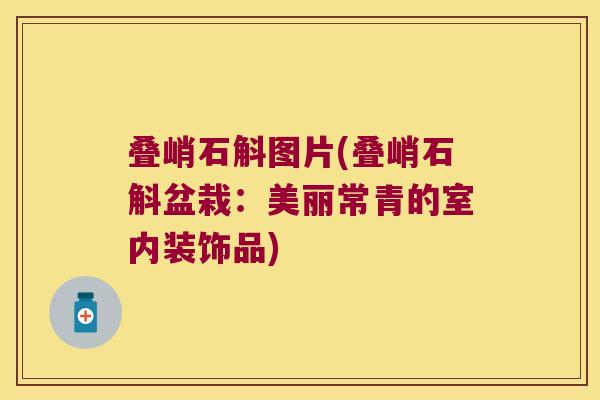 叠峭石斛图片(叠峭石斛盆栽：美丽常青的室内装饰品)