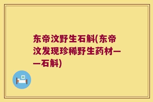 东帝汶野生石斛(东帝汶发现珍稀野生药材——石斛)