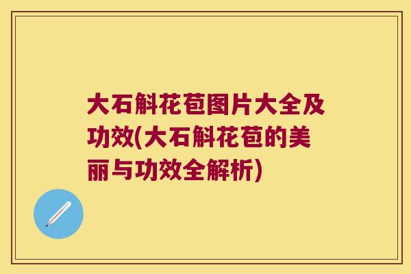 大石斛花苞图片大全及功效(大石斛花苞的美丽与功效全解析)