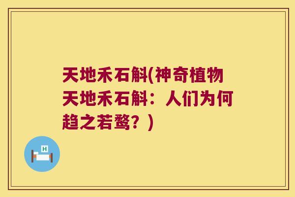 天地禾石斛(神奇植物天地禾石斛：人们为何趋之若鹜？)