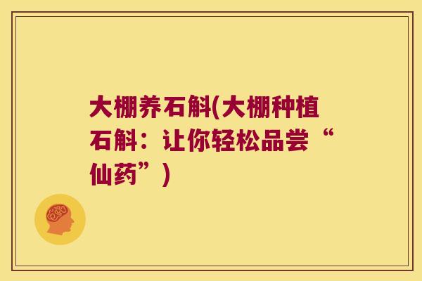 大棚养石斛(大棚种植石斛：让你轻松品尝“仙药”)