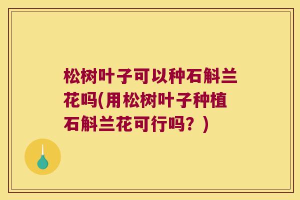 松树叶子可以种石斛兰花吗(用松树叶子种植石斛兰花可行吗？)